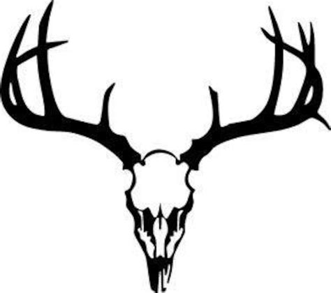 Buck Skull SVG Cut File - Etsy