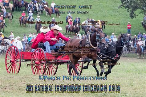 2017 National Championship Chuckwagon Races | Racing, National ...