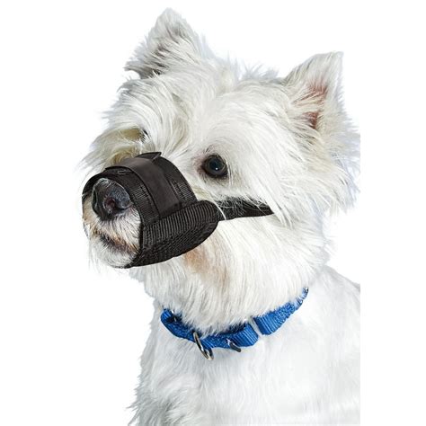 Premier Pet Dog Muzzle for Small Dogs - Padded Nylon for Safe, Comfortable Fit - Allows Panting ...