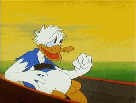 disney short donald duck gif | WiffleGif