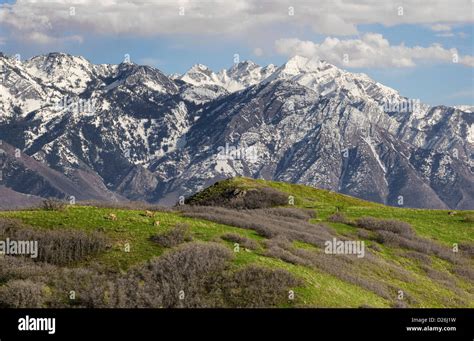 Wasatch Mountains in Northern Utah Stock Photo - Alamy