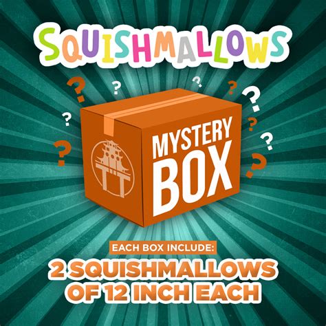 Squishmallow Mystery Box - 12 Inch Squishmallows | Toy Temple