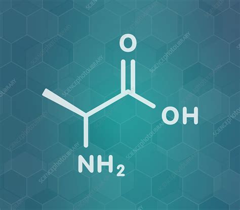 Alanine amino acid molecule, illustration - Stock Image - F027/8099 ...