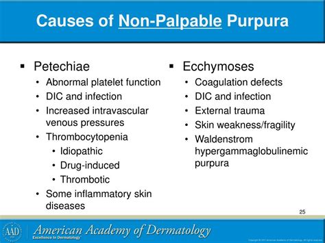 PPT - Petechiae, Purpura and Vasculitis PowerPoint Presentation, free download - ID:2825312