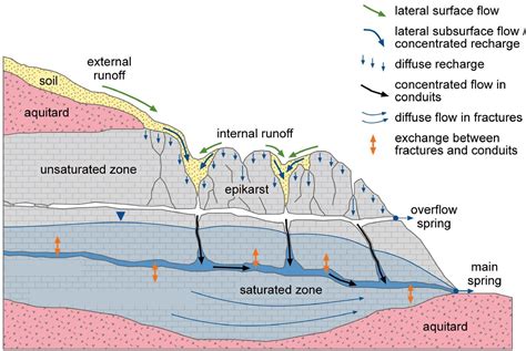 Groundwater Diagram Labeled