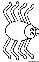 Spider Coloring Page sketch template