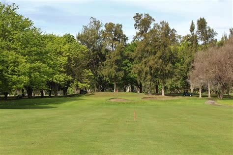 At popular Bing Maloney in Sacramento, the pristine greens roll true ...