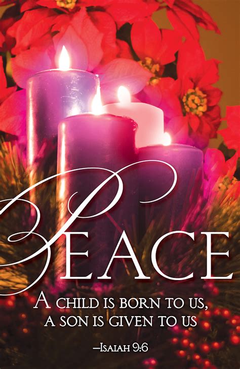 Peace Advent Candle Sunday 4 Bulletin (Pkg of 50) | Cokesbury