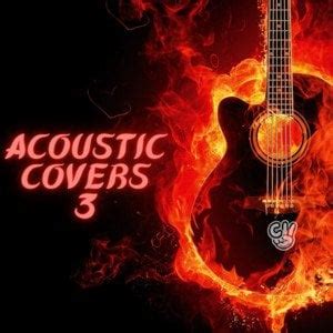 100 of the best acoustic covers : r/makemeaplaylist