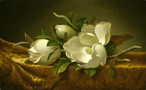 Magnolias on Gold Velvet Cloth, 1890 - Martin Johnson Heade - WikiArt.org