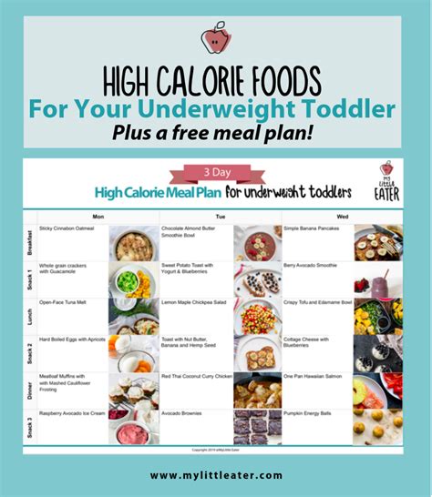 High Calorie Foods To Help Your Underweight Toddler - My Little Eater ...