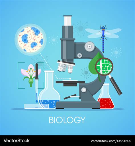 Biology science education concept poster in Vector Image