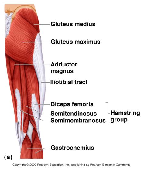 How To Prevent Knee Valgus With Exercise - [P]rehab - Knee