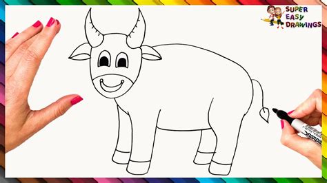 How To Draw A Bull Step By Step Bull Drawing Easy