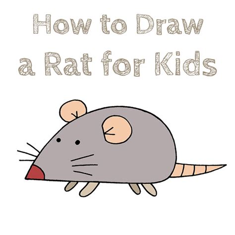 How to Draw a Rat for Kids - How to Draw Easy