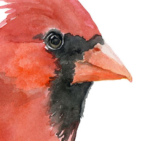 Cardinal Watercolor Painting Giclee Print Fine Art Print - Etsy