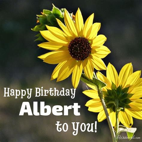 Happy Birthday Albert Images And Funny Cards