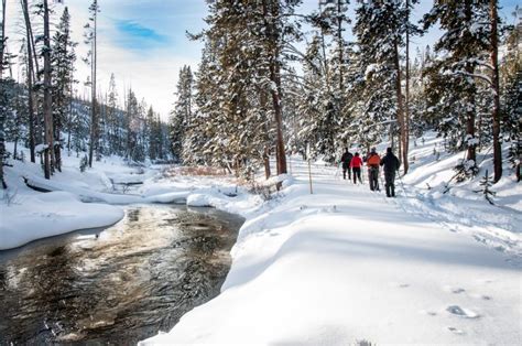 Yellowstone National Park Is Even More Magical In Winter Than Summer