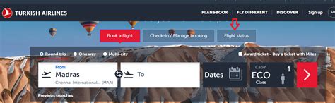 How To Check Turkish Airlines Flight Status