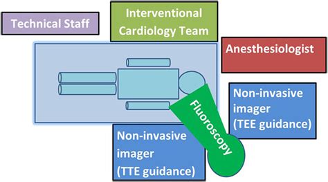 Interventional Echocardiographer Radiation Exposure Varies With Procedure Type and ...