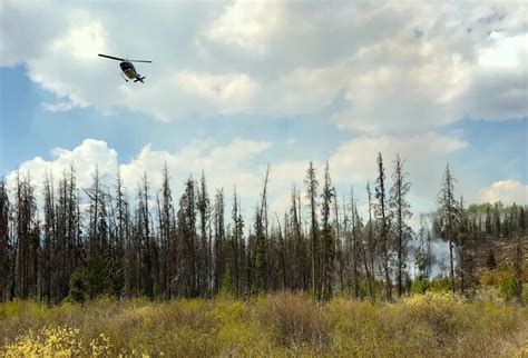 Fire at north end of Adams Lake grows to 36 hectares - Kamloops News ...