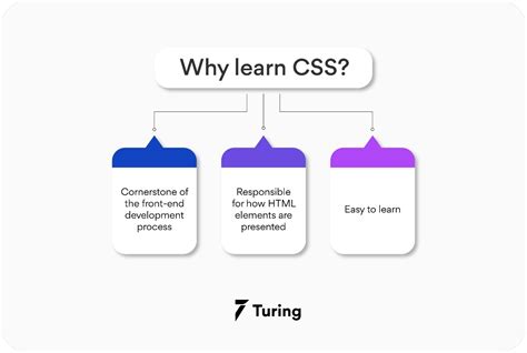 Top CSS Books Every Software Developer Should Read