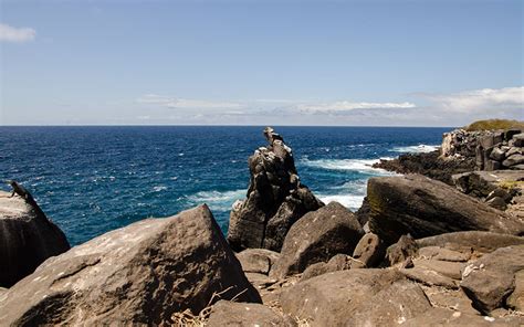 Dry Season in Galapagos - Blog