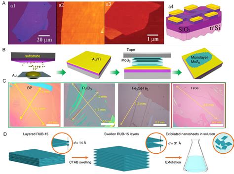 Two-dimensional materials: synthesis and applications in the electro ...