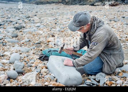 Fossil Hunting on the Jurassic Coast world Heritage site. Charmouth Stock Photo - Alamy