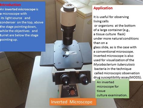 Inverted Microscope Principle