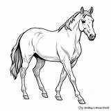 Horse Coloring In Pages sketch template