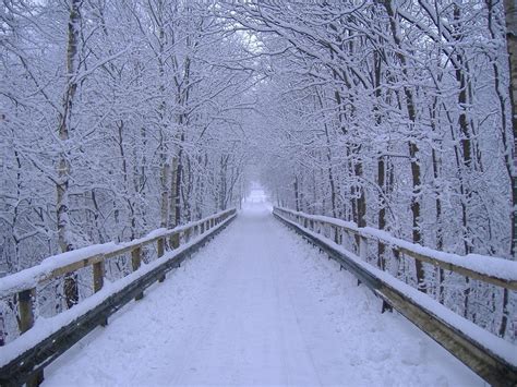 Free Winter Wallpaper and Screensavers - WallpaperSafari