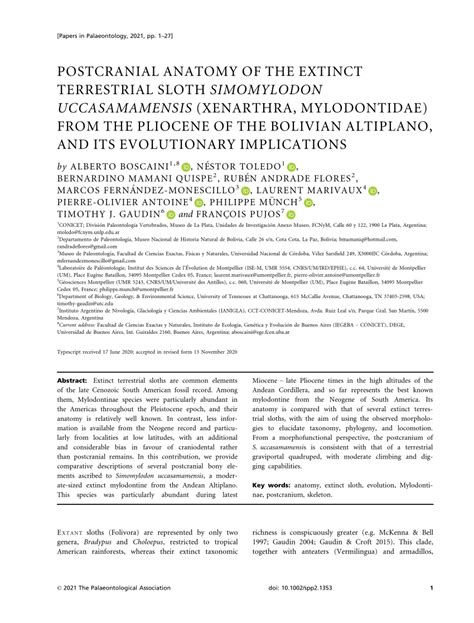 (PDF) Postcranial anatomy of the extinct terrestrial sloth Simomylodon uccasamamensis (Xenarthra ...