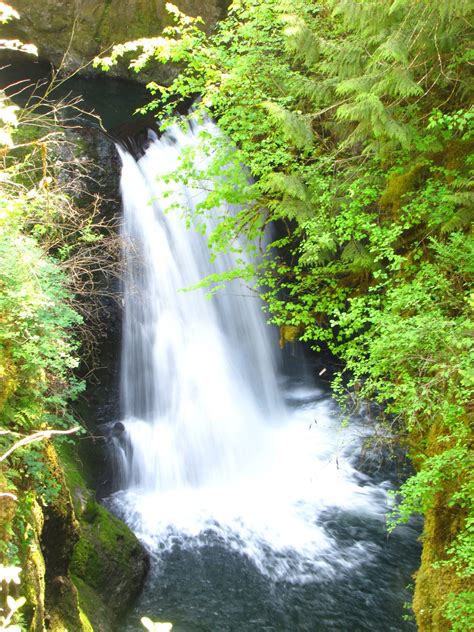 Newsletter - Deschutes Estuary Restoration Team