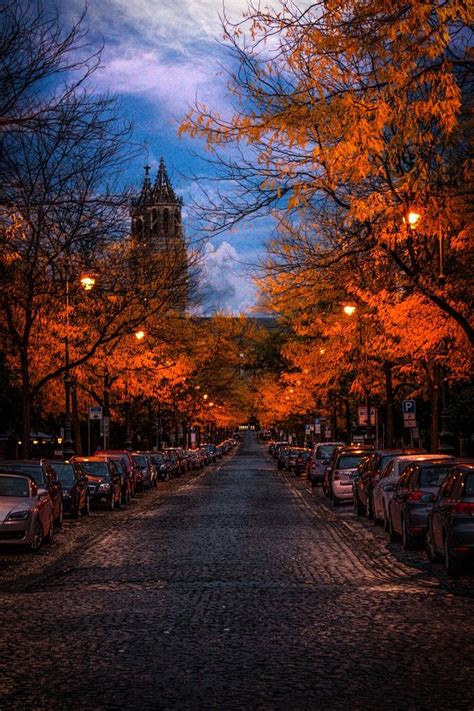 Autumn Cozy | Autumn scenery, Autumn scenes, Autumn lights