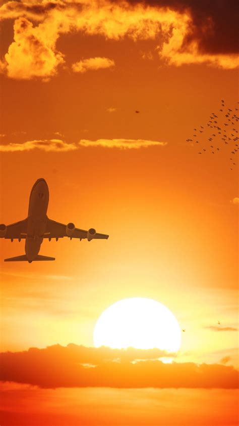 Airplane flying in the sunset wallpaper - backiee