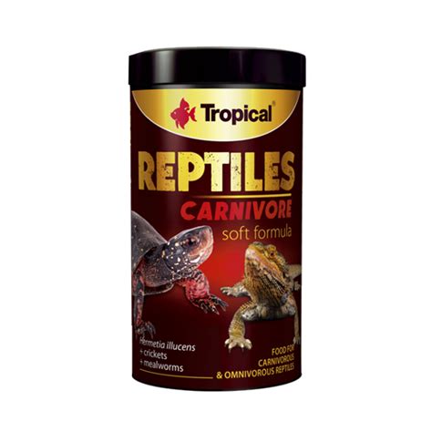 tropical carnivore for reptiles - creatures oasis