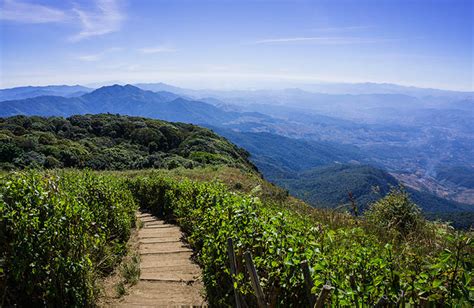 Doi Inthanon National Park Hiking Day Tour From Chiang Mai | ubicaciondepersonas.cdmx.gob.mx