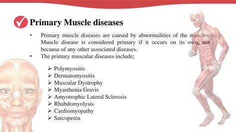 SOLUTION: Biology Anatomy and Physiology - Muscular System Diseases - Studypool