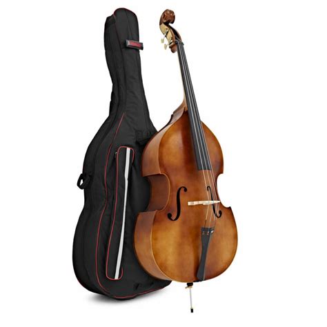 Cello vs. Double Bass – What’s the Difference? | Gear4music