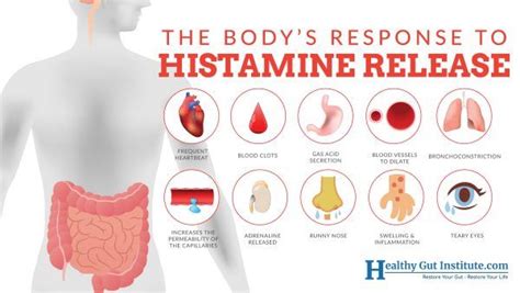 Histamine effect in body | Runny nose, Intolerance, Chronic inflammation