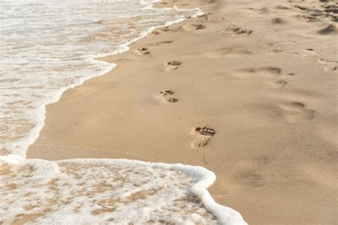 Premium Photo | Footprints in the sand at sunset