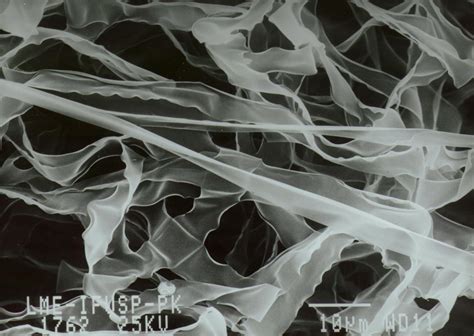 Free photo: Silk Microscope View - Biology, Textiles, String - Free Download - Jooinn