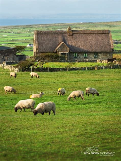 17 Best images about Irish Cottages on Pinterest | Cottages in ireland, Irish and Irish cottage