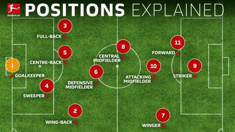 Bundesliga | Soccer positions explained: names, numbers and what they do