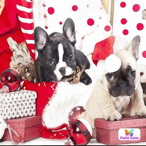 Christmas Puppies Adult Coloring, Coloring Pages, Christmas Puppy ...