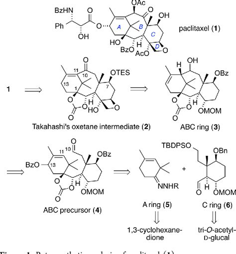 Synthesis of Paclitaxel. 1. Synthesis of the ABC Ring of Paclitaxel by ...