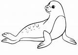 Seal And Fishes Coloring Page  Free Printable Pages For Kids sketch template