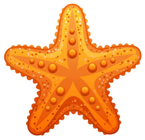 Starfish Clip art - Transparent Starfish PNG Clipart Image png download - 5280*5105 - Free ...