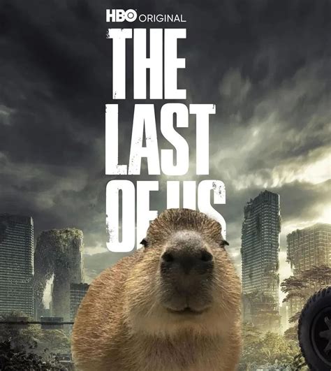 Save us, Gort! : r/capybara